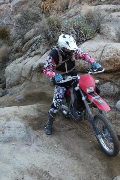 post-14270-020730000 1361761055_thumb.jp