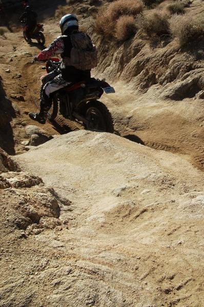 post-14270-045183300 1361761082_thumb.jp