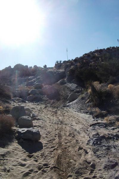 post-14270-067071500 1361761174_thumb.jp