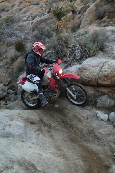 post-14270-073902500 1361761033_thumb.jp