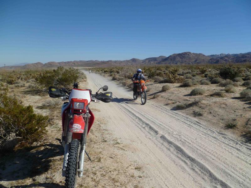 post-14875-005003000 1330759662_thumb.jp