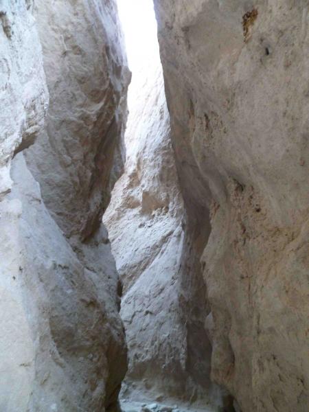 post-14875-008049900 1330760263_thumb.jp