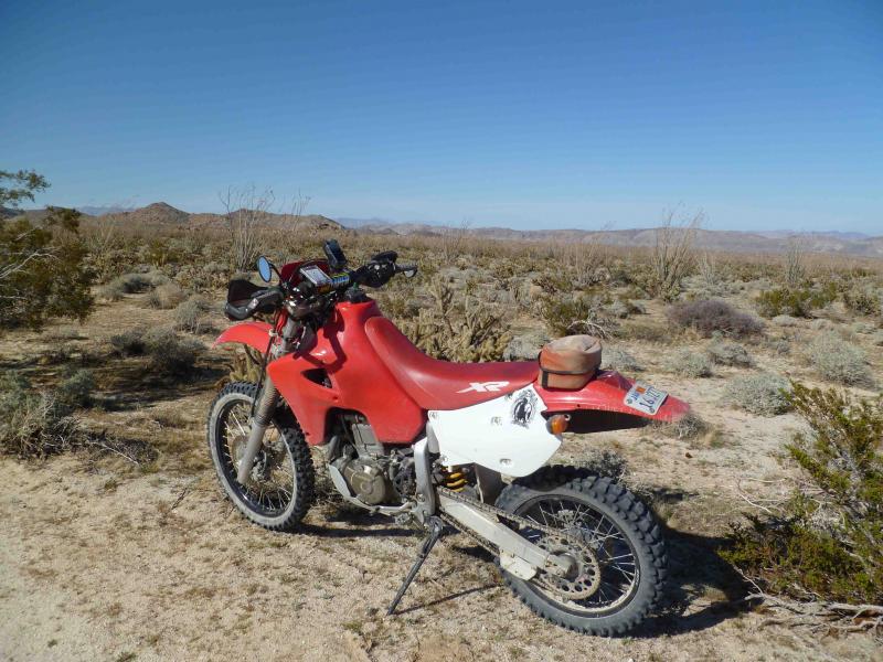 post-14875-010951800 1330759612_thumb.jp