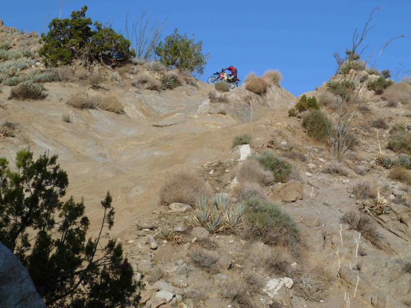 post-14875-028241400 1330763347_thumb.jp