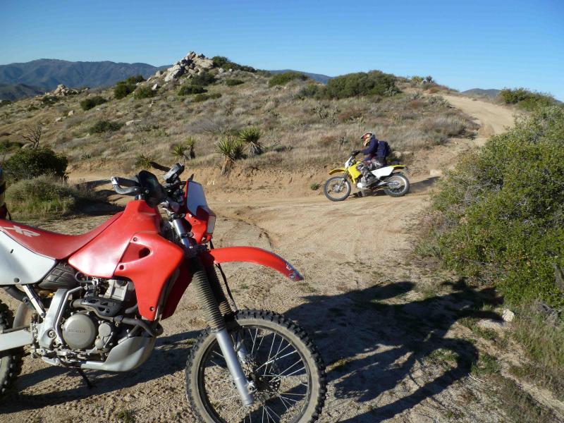 post-14875-097843100 1330741338_thumb.jp