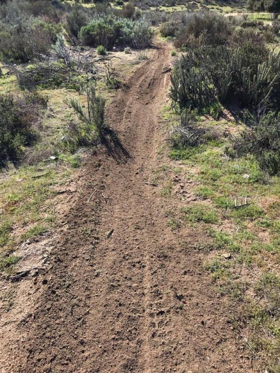 El compadre trail ride 2019.jpg