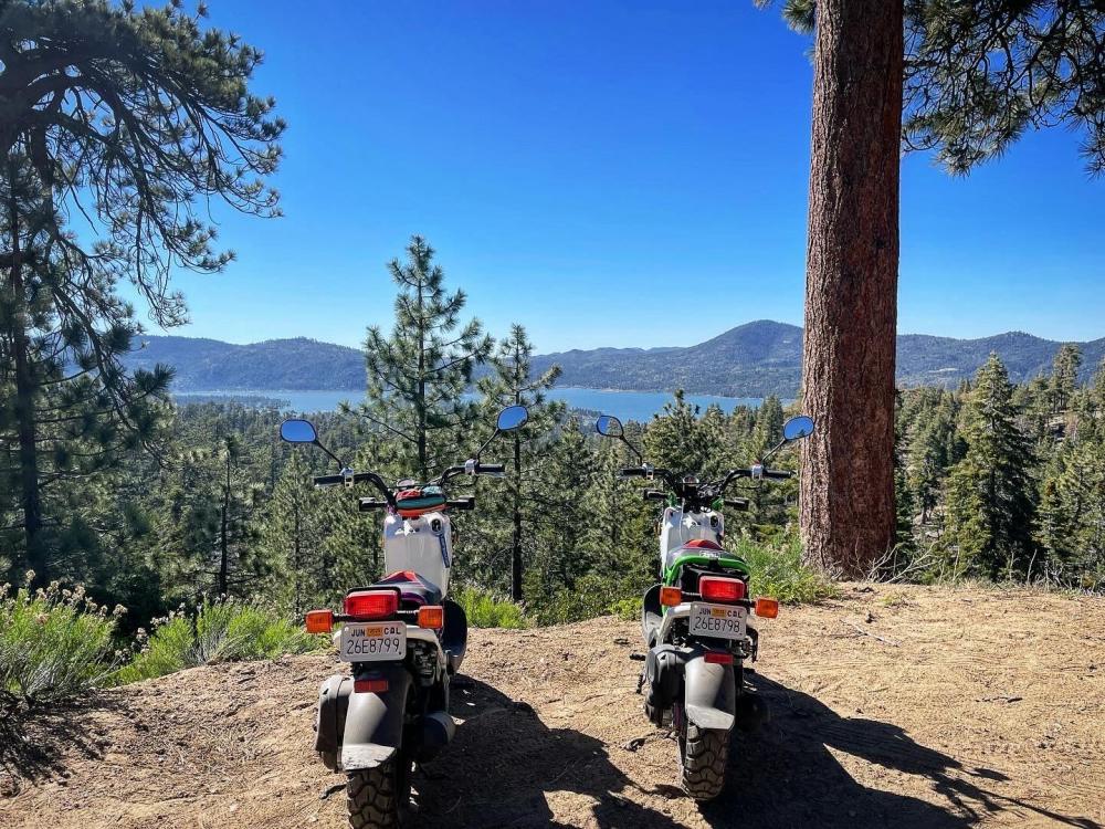 Big Bear 1.JPG
