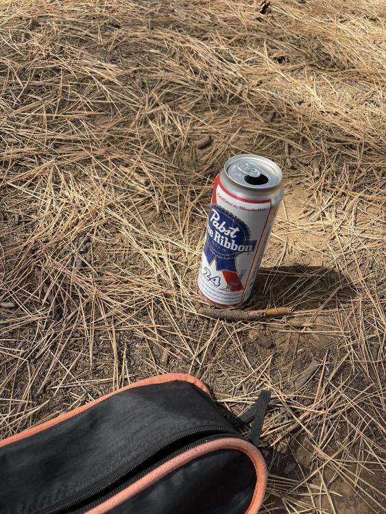 beer.thumb.jpg.781cd639350857027fcbdcd5dbabd714.jpg