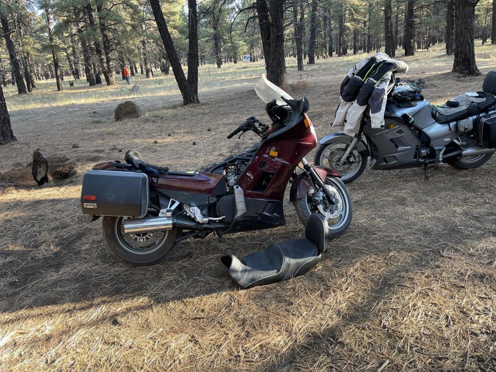 camp2.thumb.jpg.8f0fe21f5067ac8e0129b5edd0afa640.jpg