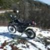 619DR650